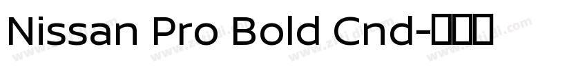 Nissan Pro Bold Cnd字体转换